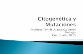 Citogenética y mutaciones