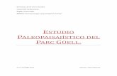 Estudio paleopaisajístico del Parc Güell