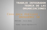 Trabajo integrador teoria de las organizaciones
