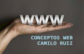 Conceptos web