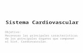 Práctica Sist. Cardiovascular