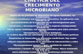 Cinetica Del Crecimiento Microbiano
