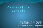 Carnaval de venecia sergy