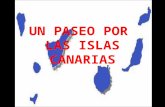 Islas Canarias - Un paseo para disfrutar