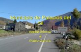 Municipio De Palacios Del Sil