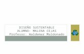 Diseño sustentable - Malena