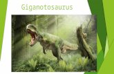 Gigantosaurus  Bernat Mauri