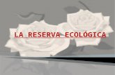 Presentacion de la reserva ecológica