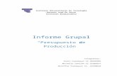 Informe grupal de técnicas presupuestarias