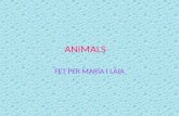 Animals - fet per Laia i Maria