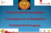 Presentacion uruguay ucci
