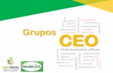 Grupos CEO (Centinno)