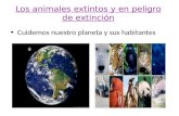 Los animales extintos y en peligro de extinción