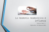 La neumonía neumocócica e influenza