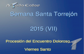 Semana Santa Torrejon 2015: Procesion del Encuentro Doloroso