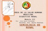 Semiologia de renal