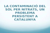 Contaminació del sòl per nitrats, un problema persistent a Catalunya