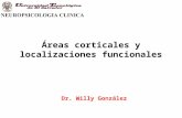 Clase 1 áreas corticales y localizaciones funcionales