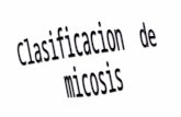 Microbiologia micosis