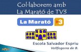 Col·laborem amb la Marató de TV3