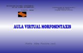 Aula Virtual Morfosintaxis