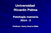 Mama 2014-2. Dr. Henry Guerra Miller