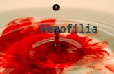 Síntesis (hemofilia)