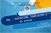 Rol percepcion conflictos_status_maria gabriela cruz