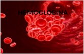degradación de la Hemoglobina