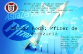 Pfizer de Venezuela. SAIA Equipo 2