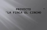 Proyecto "El Cincho"