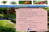 VERDECOR: Soluciones integrales en jardineria