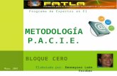Metodología PACIE -Bloque cero