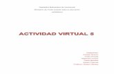 Actividad Virtual 5