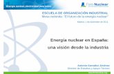 Antonio González  · Energía nuclear en España: una visión desde la industria