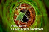 Presentacion de ecologia wiki 8