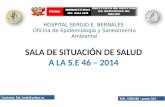 Sala de situación de salud  se 46-2014 final