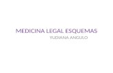 Esquemas medicina legal