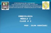 EmbriologíA Zulma 3