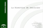 Marco Normativo Directiva de Servicios