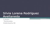 Informatica presentacion de busqueda Silvia Rodriguez