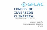 Climate Investment Fund - Perspectivas y retos