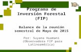 Forest Investment Fund Balance Semianual