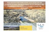 Miguel Cañedo - Macroinvertebrados acuáticos en condiciones hidrológicas extremas: el desierto de Arizona como caso de estudio