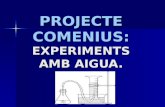 Projecte comenius powerpoint