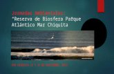 Jornadas ambientales, mar chiquita 13 y 14 diciembre