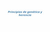 Principios de genética y herencia