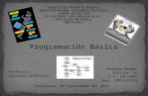 Programación básica (pseudocodigos)