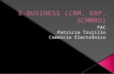 E business (crm, erp, scmmro)