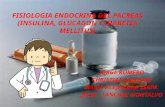 PANCREAS ENDOCRINO INSULINA GLUCAGON Y DIABETES MELLITUS
